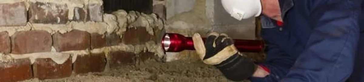 Pest control technician inspecting a crawl space for ant activity and entry points in San Jose, CA