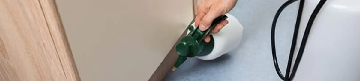 Bed bug exterminator treating baseboards and cracks with targeted spray in San Jose, CA