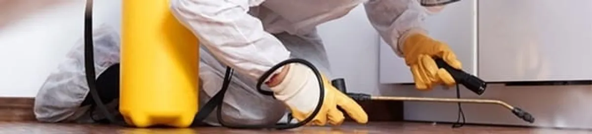 Roach exterminator treating cracks and crevices along kitchen baseboards in San Jose, CA